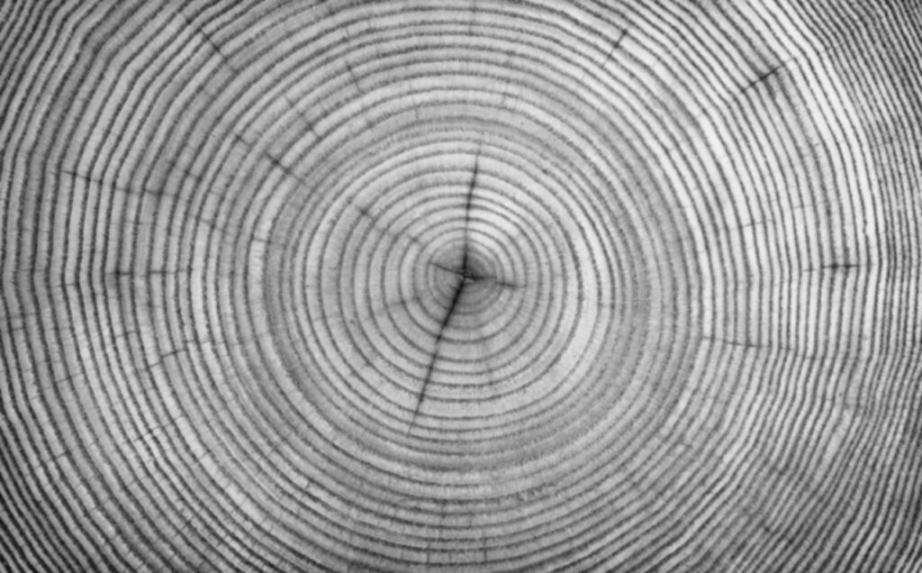 Regulatory & Compliance