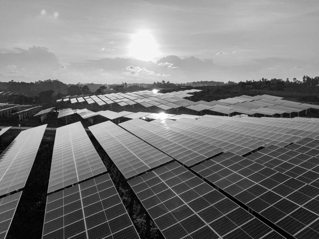 Regulatory & Compliance