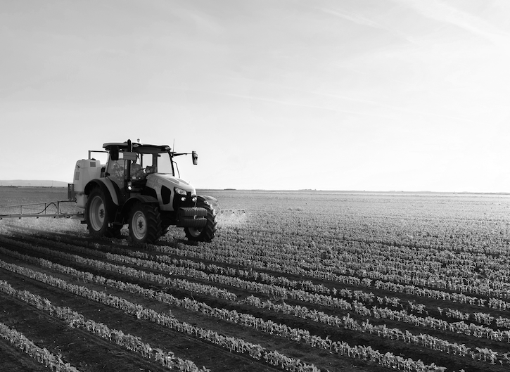 Additional Services Page